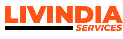 Welcome to Livindia Service 